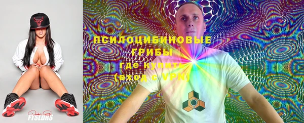 тгк Аркадак