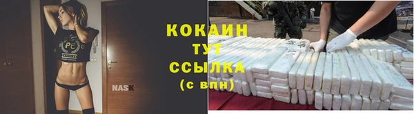тгк Аркадак