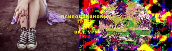трава Арсеньев