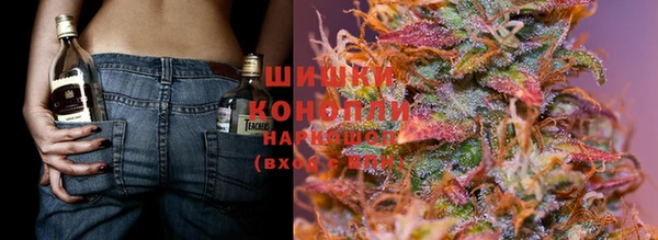 тгк Аркадак