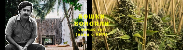 трава Арсеньев